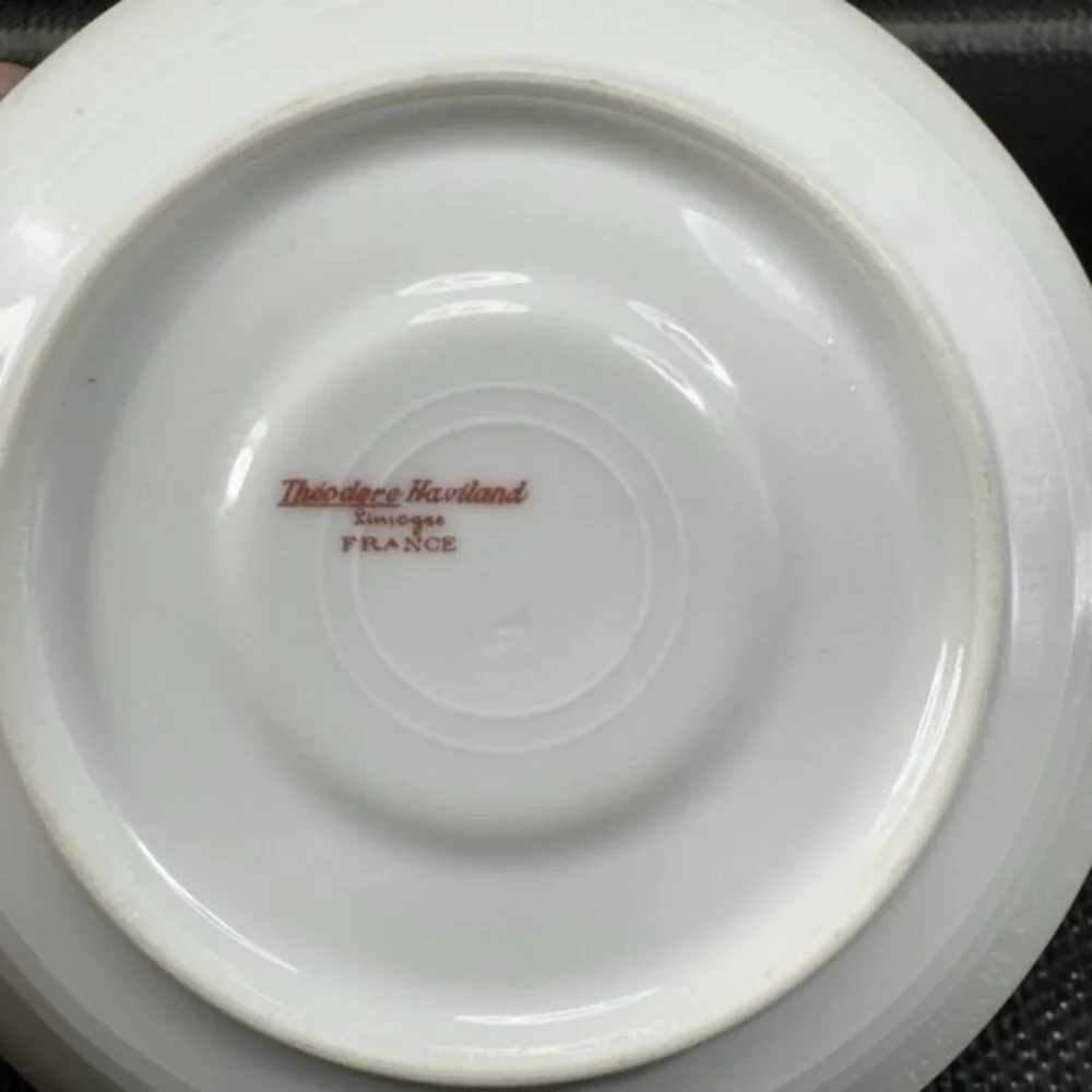 Theodore Haviland Limoges‎ France Fine Porcelain Teacup Saucer Set Green Floral
